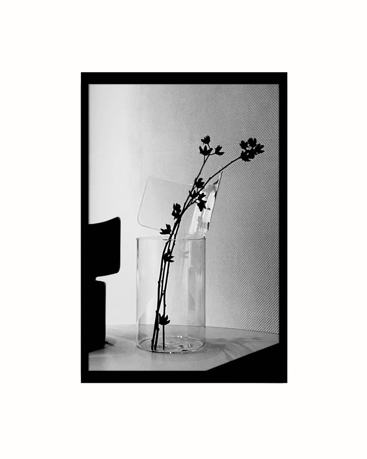 PAOLA C. Riflessi Vase - short/high